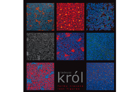Tadeusz Król - Formy tracone